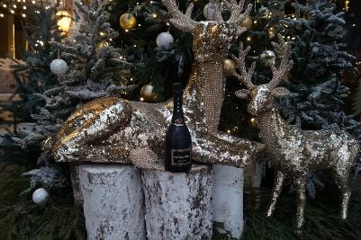 Ты меня на рассвете разбудишь