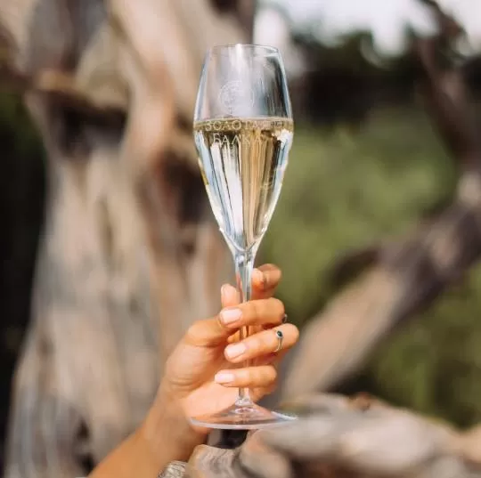 Напиток с поводом и без повода