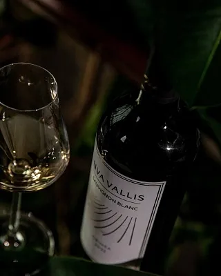 Винодельня Uva Vallis. Дегустация на Бауманской