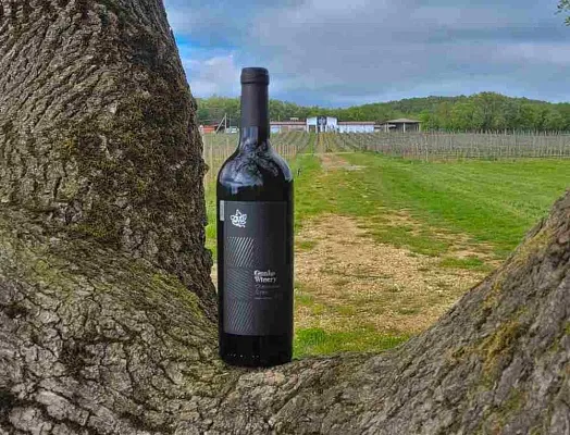 Встреча с виноделом: Владимир Гунько. Опыт и инновации Gunko Winery на 1й Брестской
