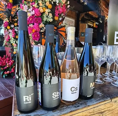 Дегустация вин Belmas Winery и Andryus Yutsis. Бауманская улица Дегустация вин Belmas Winery и Andryus Yutsis. Бауманская улица