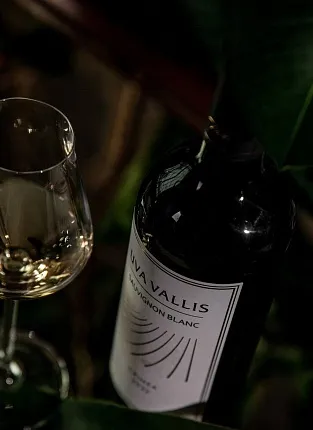 Винодельня Uva Vallis. Дегустация на Бауманской