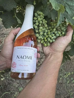 Встреча с виноделом: Аарон Коффман, WINEMAFIA на 1й Брестской